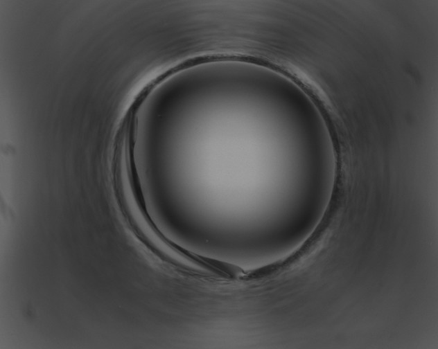 X0000090961085200708021411