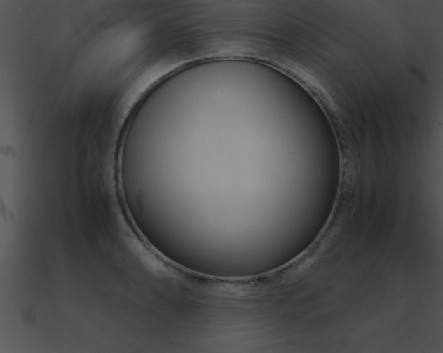 X0000090961086200708021411