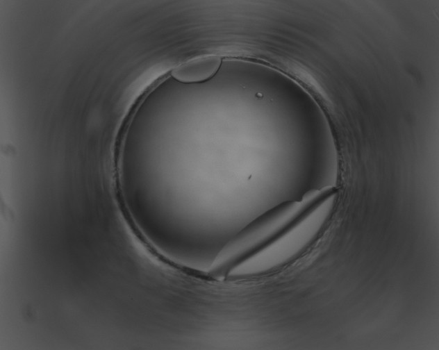 X0000090961087200708021411