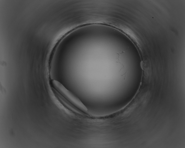 X0000090961088200708021411