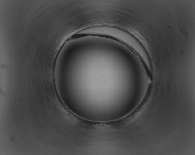 X0000090961089200708021411