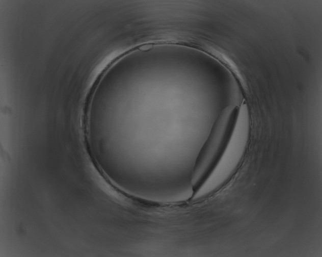 X0000090961091200708021411