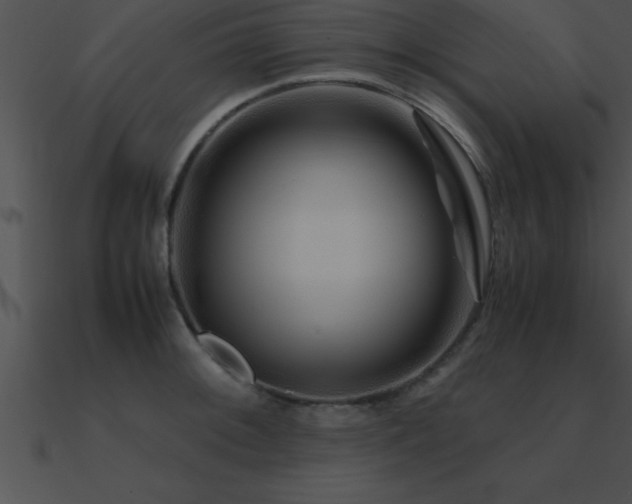 X0000090961092200708021411