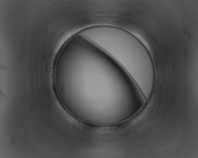 X0000090961093200708021411