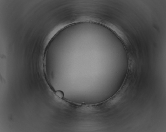 X0000090961094200708021411