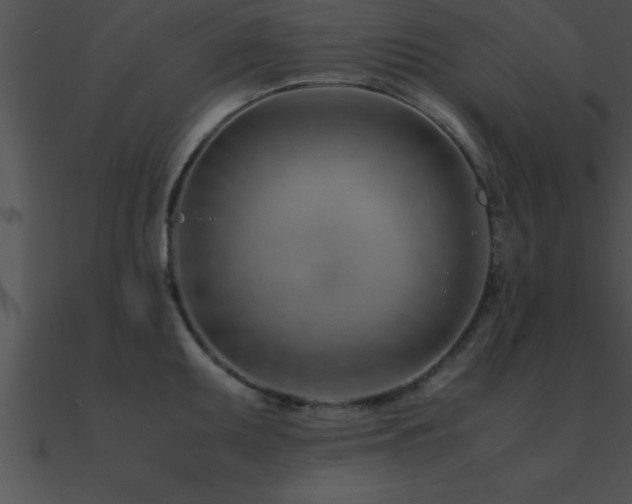 X0000090961095200708021411