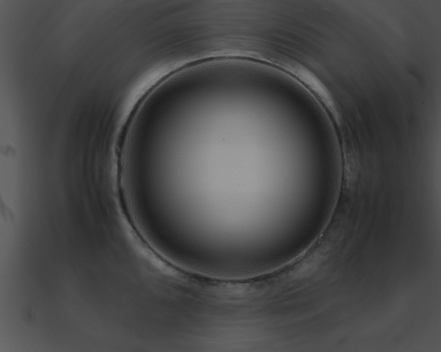 X0000090961096200708021411