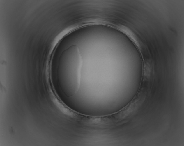 X0000090961098200708021411
