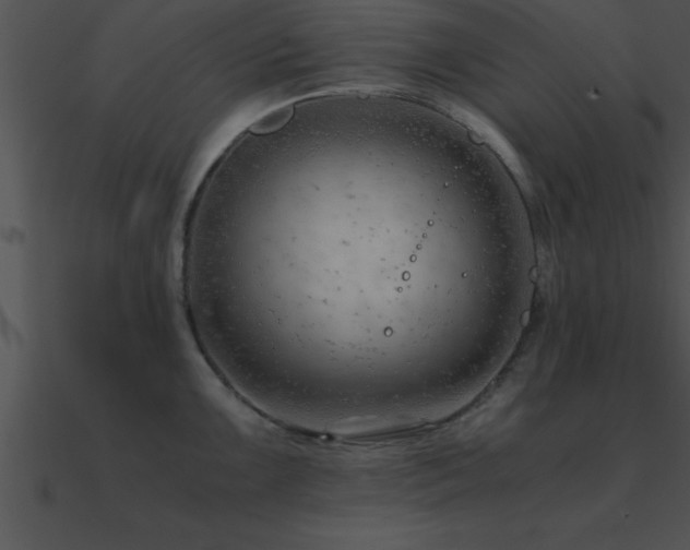 X0000090961099200708021411