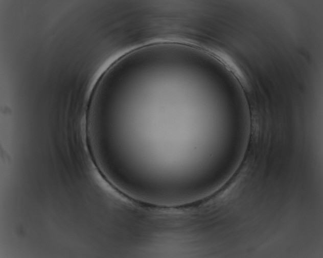 X0000090961100200708021411