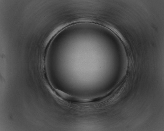 X0000090961101200708021411