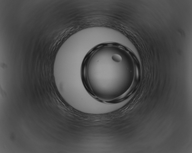 X0000090961108200708021410