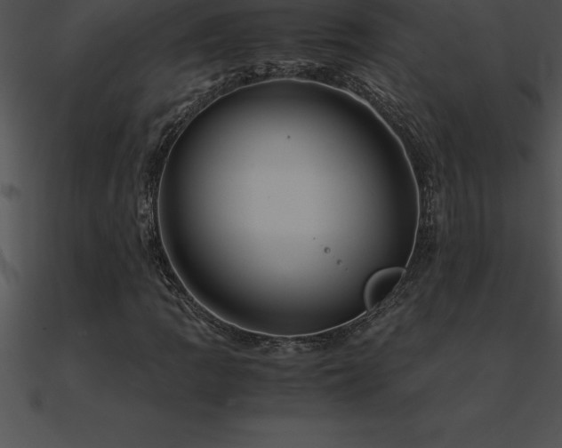 X0000090961109200708021410