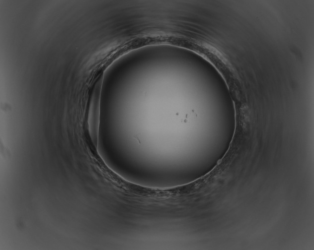 X0000090961111200708021410