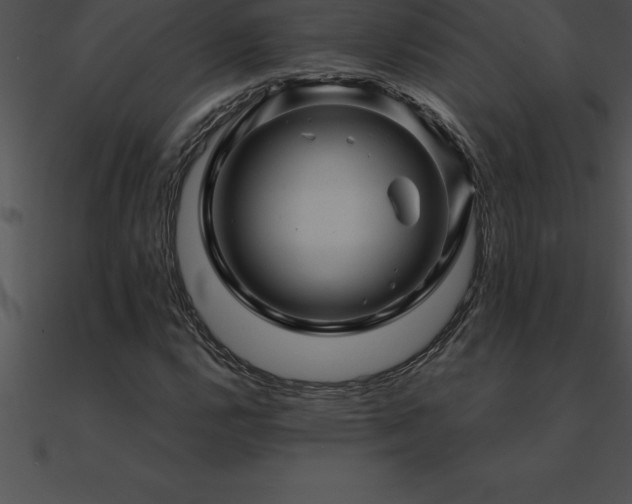 X0000090961112200708021410