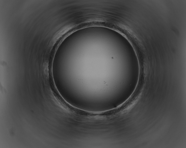 X0000090961113200708021410