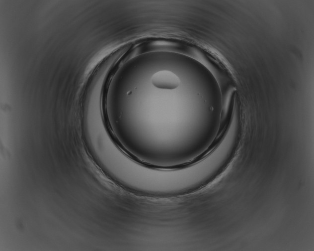 X0000090961114200708021410