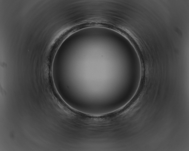 X0000090961115200708021410