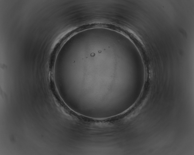 X0000090961117200708021410