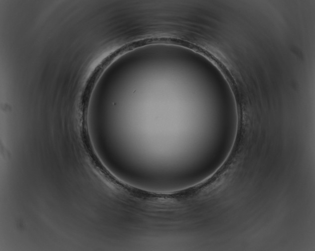 X0000090961119200708021410