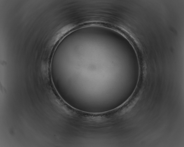 X0000090961121200708021410