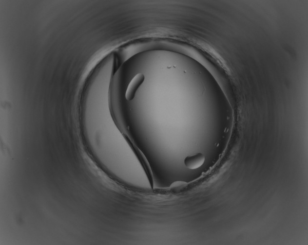 X0000090961122200708021410
