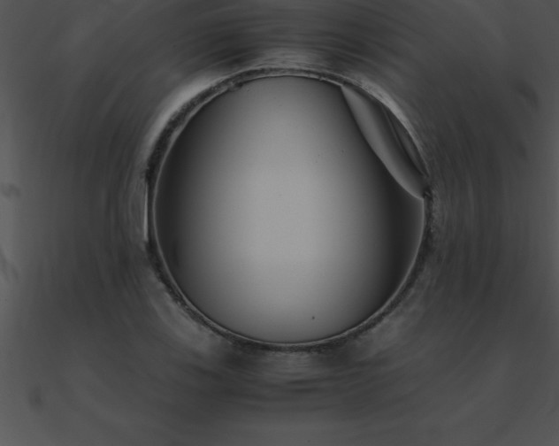 X0000090961123200708021410