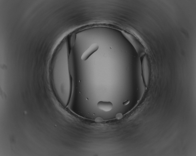 X0000090961124200708021410
