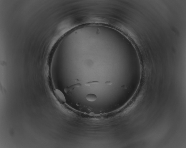 X0000090961125200708021410