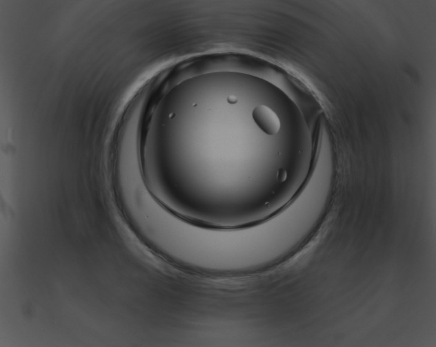 X0000090961126200708021410