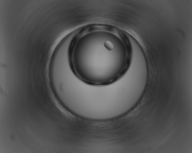 X0000090961128200708021410