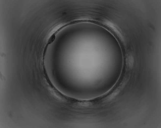 X0000090961129200708021410