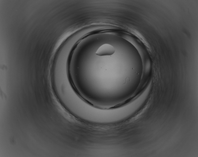 X0000090961130200708021410