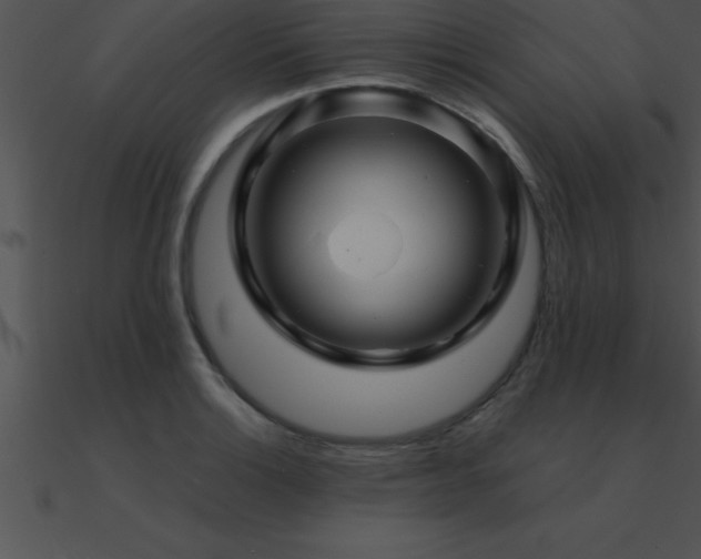 X0000090961132200708021410