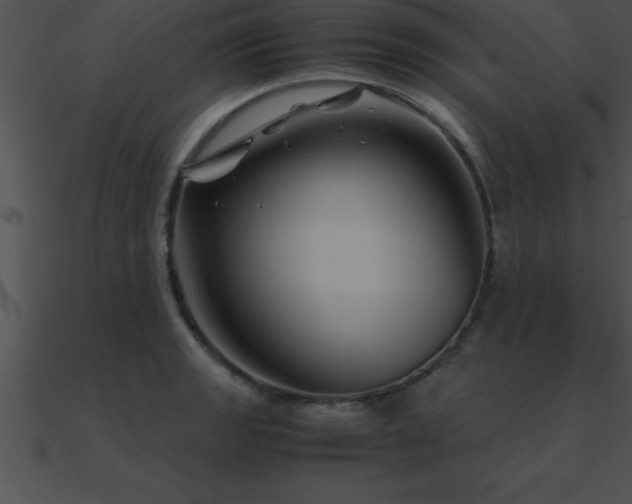X0000090961133200708021410