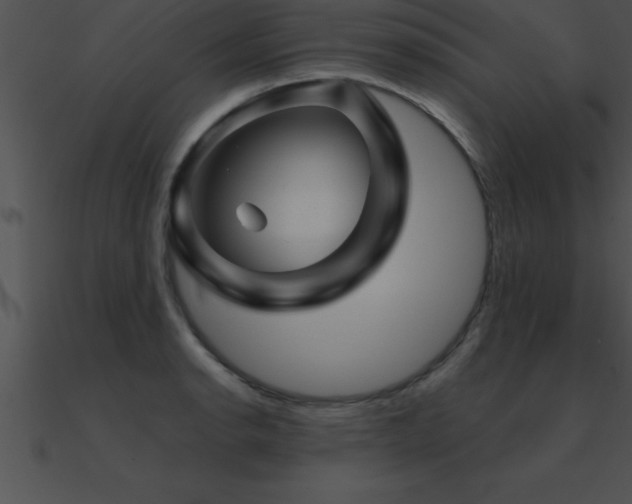 X0000090961134200708021410
