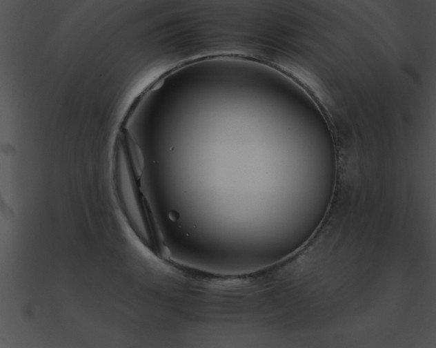 X0000090961135200708021410