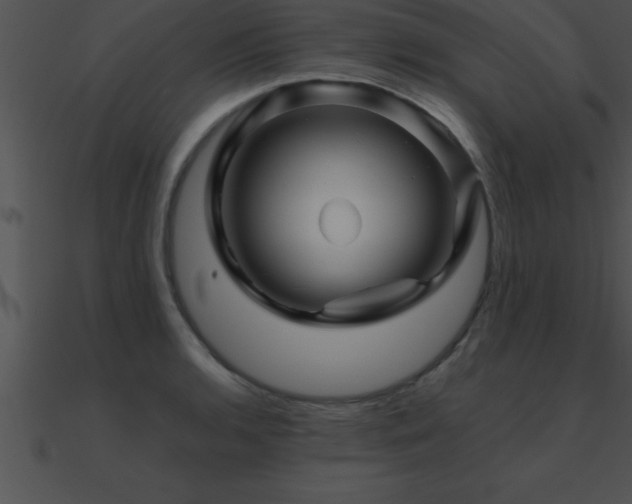 X0000090961136200708021410