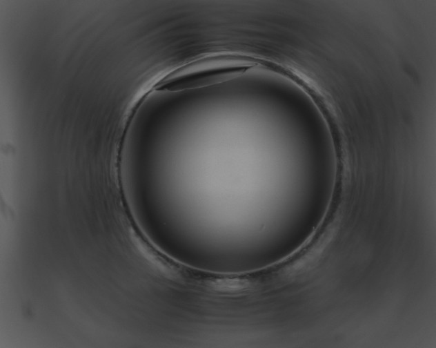 X0000090961137200708021410