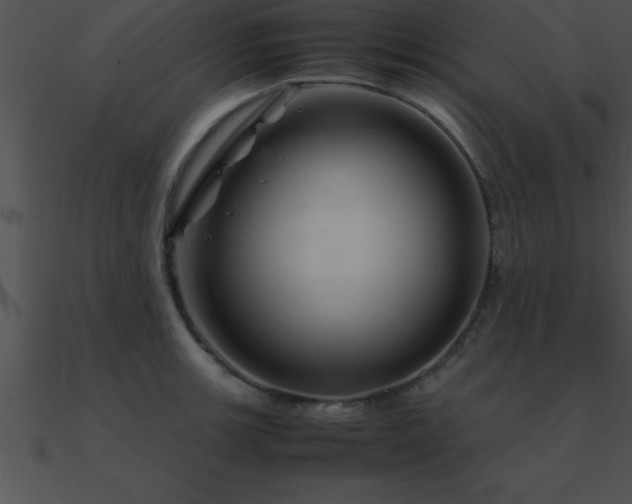 X0000090961139200708021410