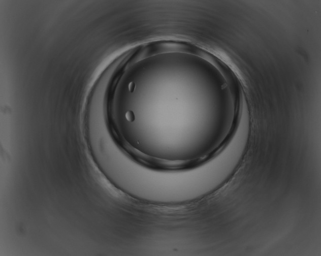 X0000090961140200708021410
