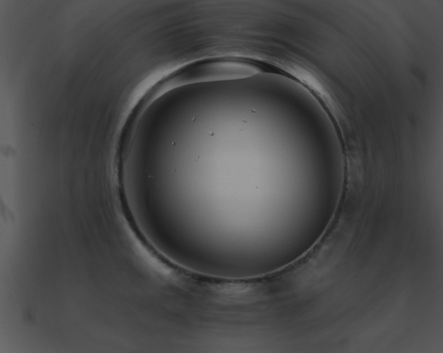 X0000090961141200708021410