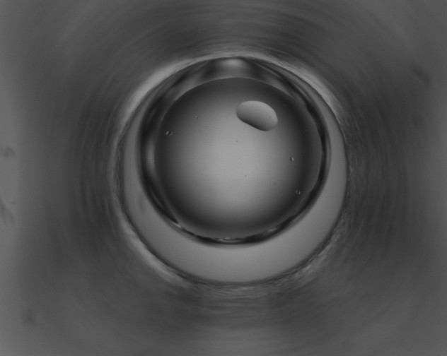 X0000090961142200708021410