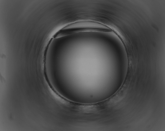 X0000090961143200708021410