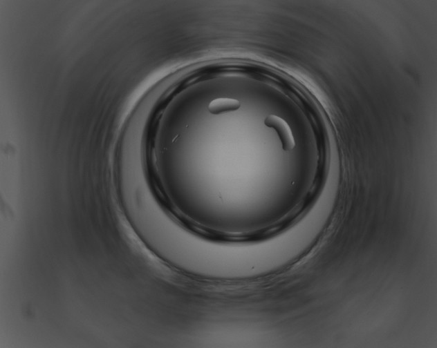 X0000090961150200708021411