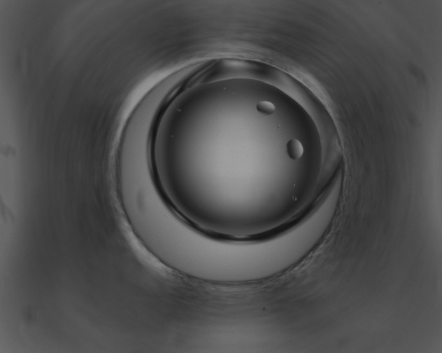 X0000090961152200708021411