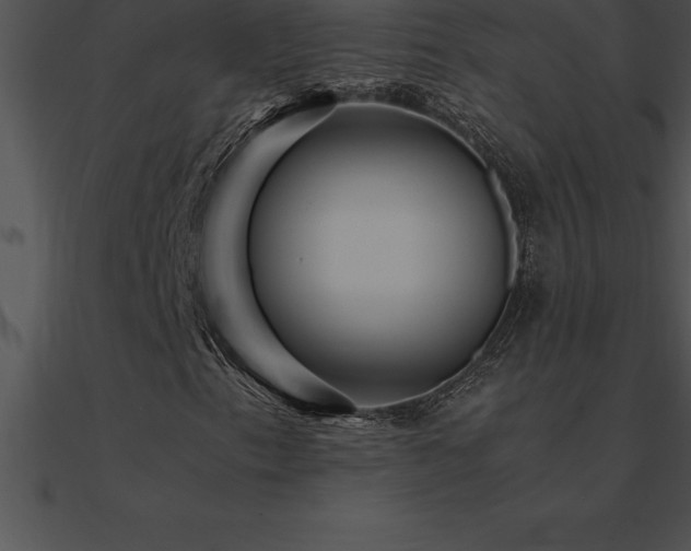 X0000090961153200708021410