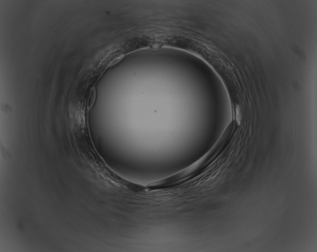 X0000090961155200708021410