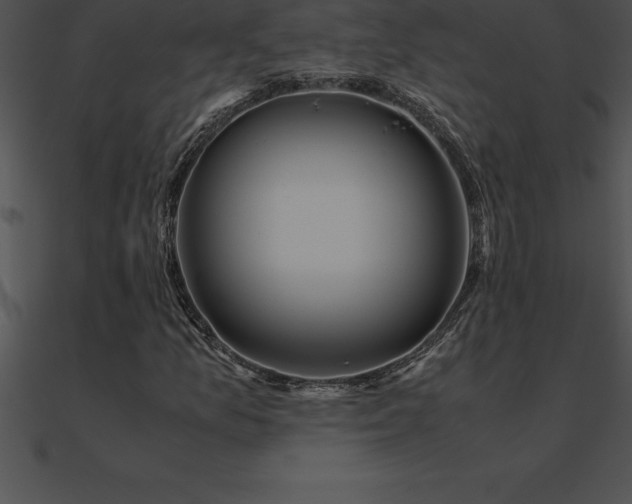 X0000090961157200708021410
