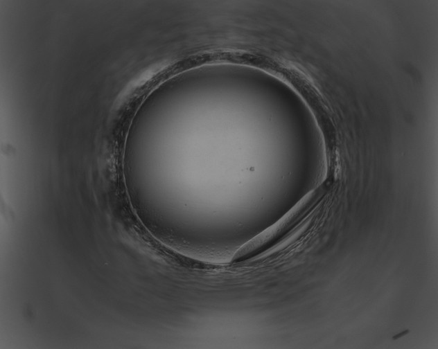 X0000090961159200708021410